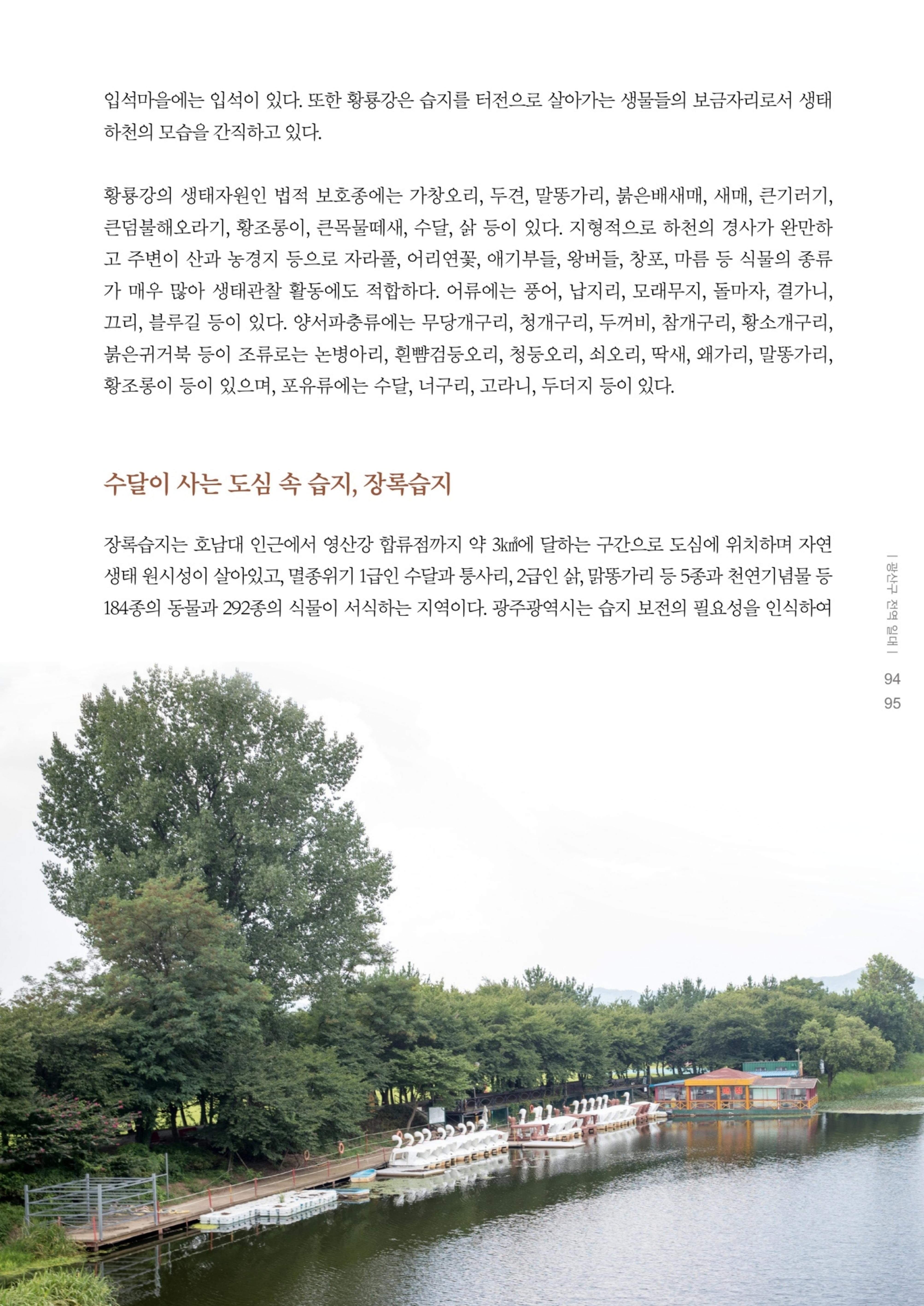매거진