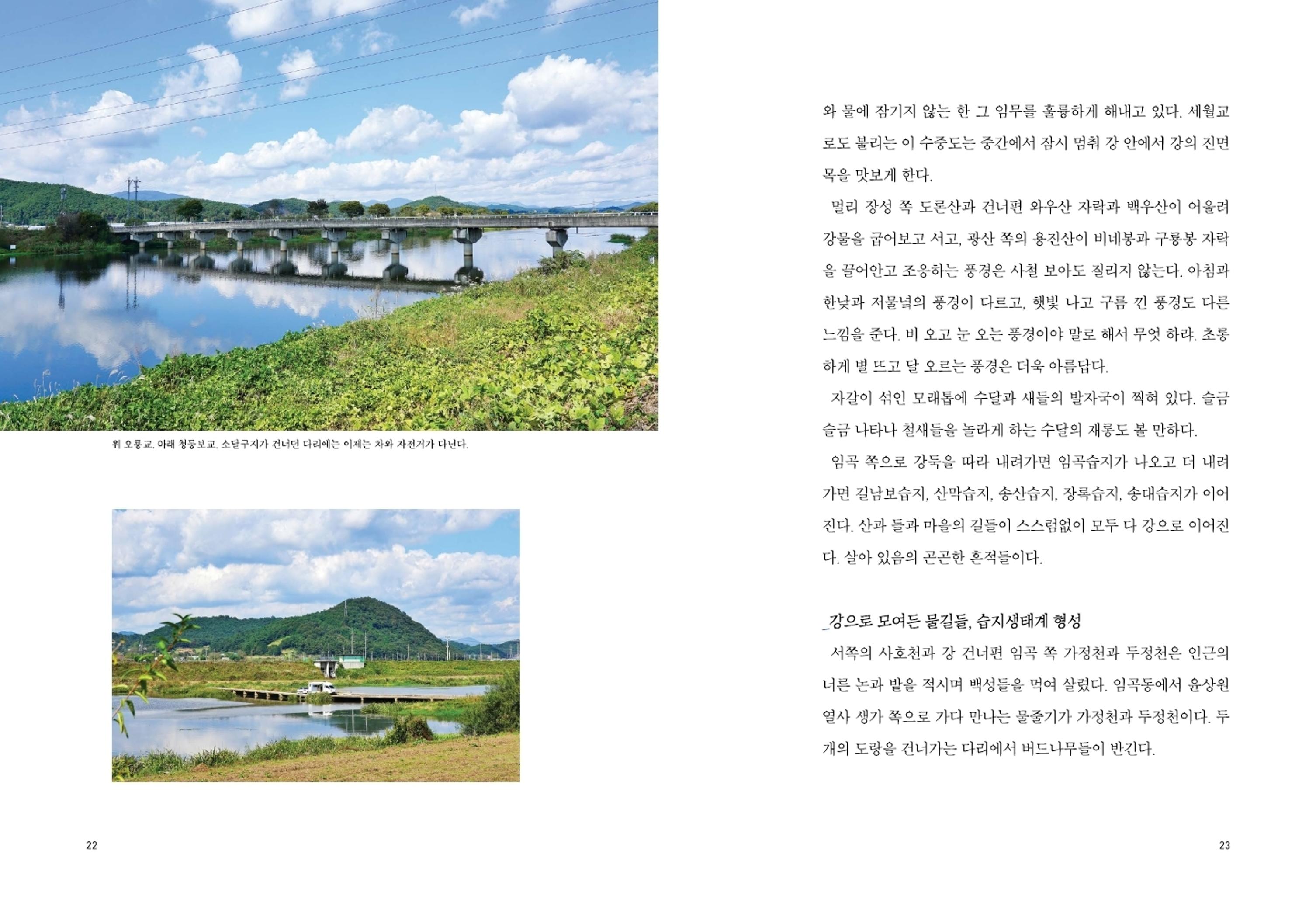 매거진