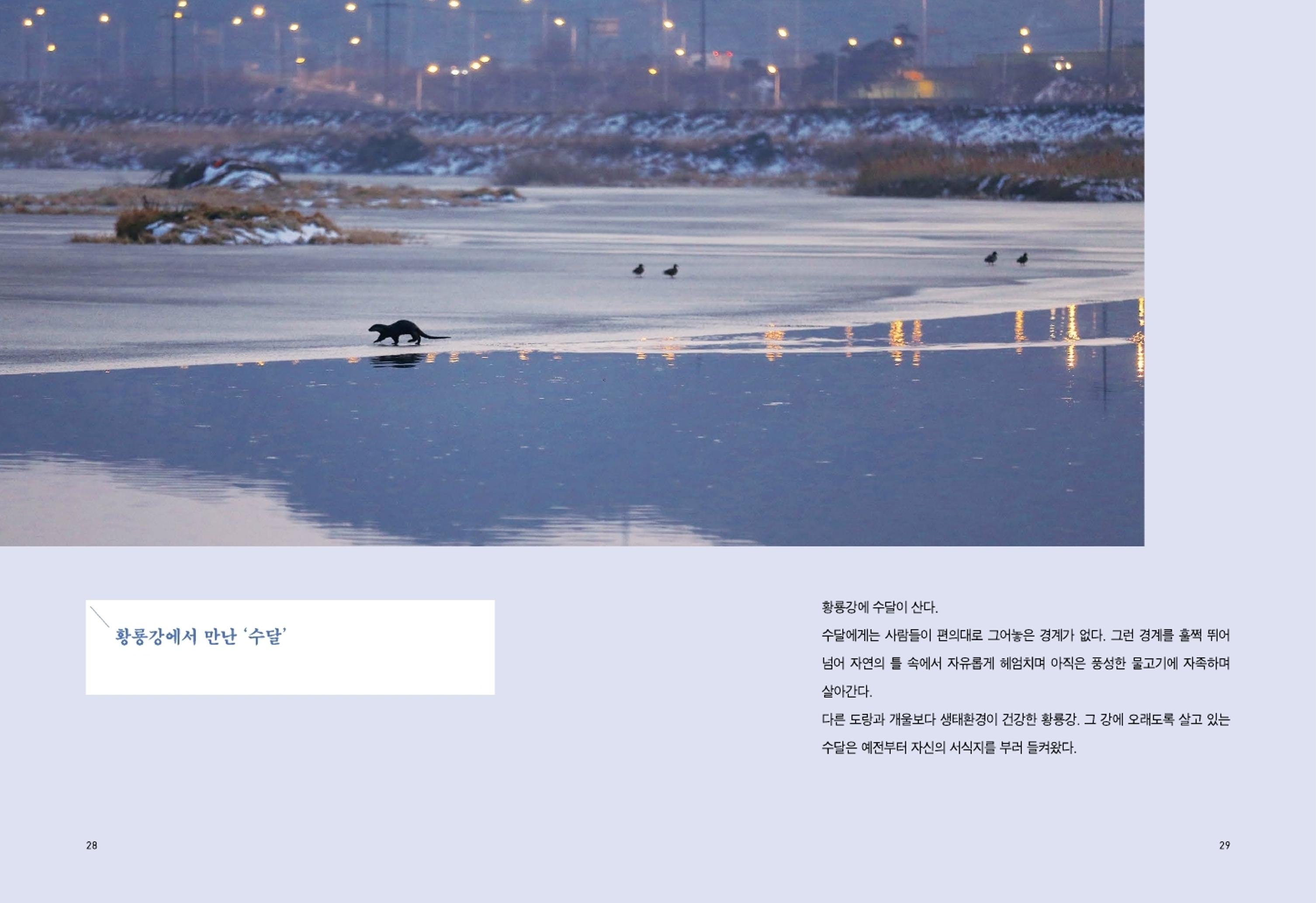 매거진