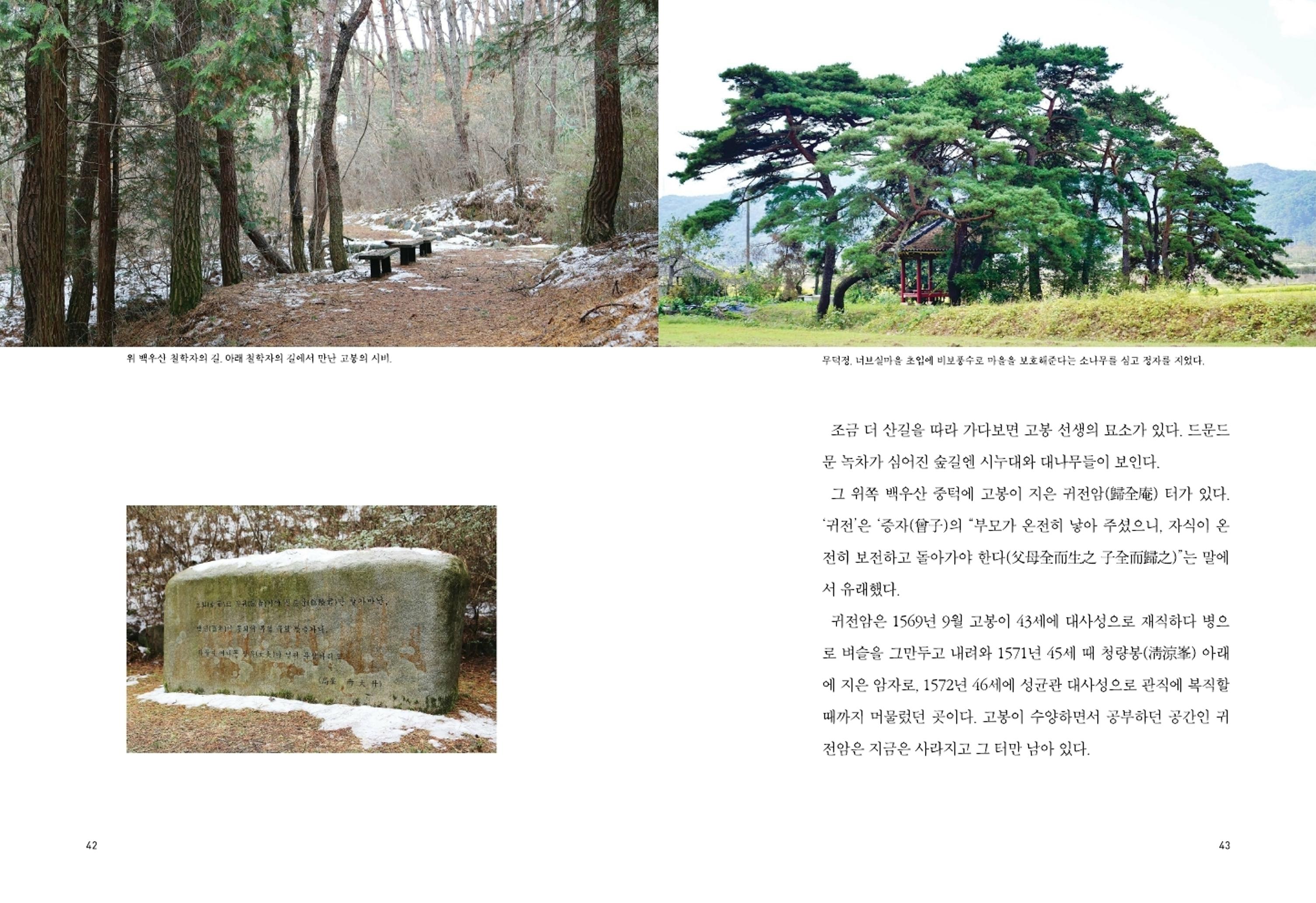 매거진