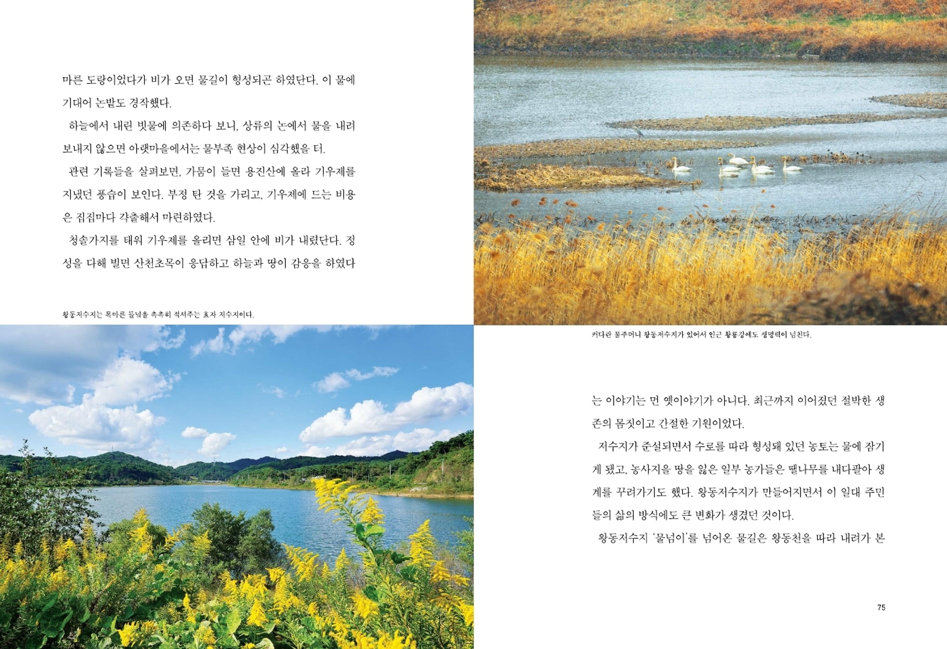 매거진