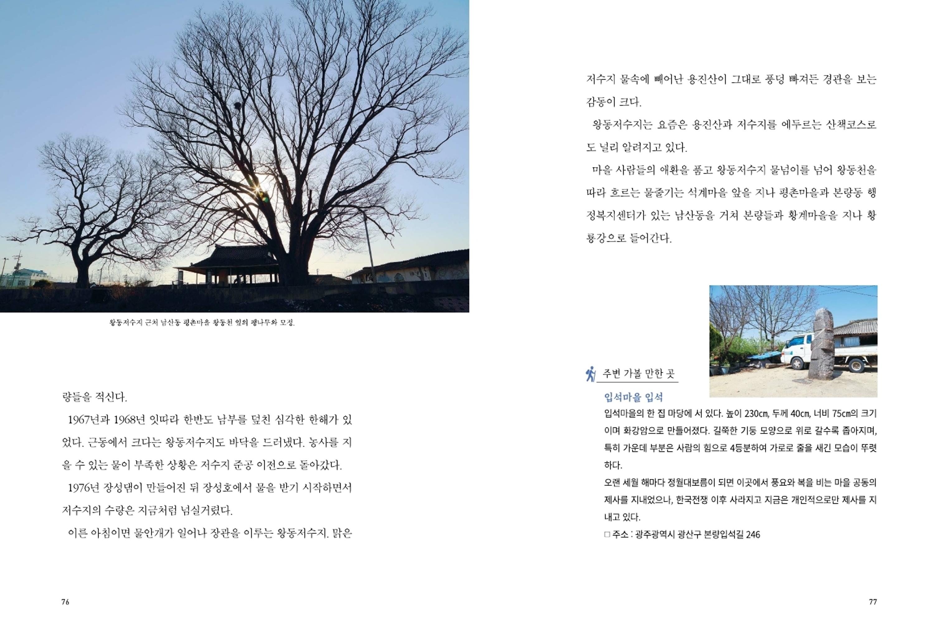 매거진