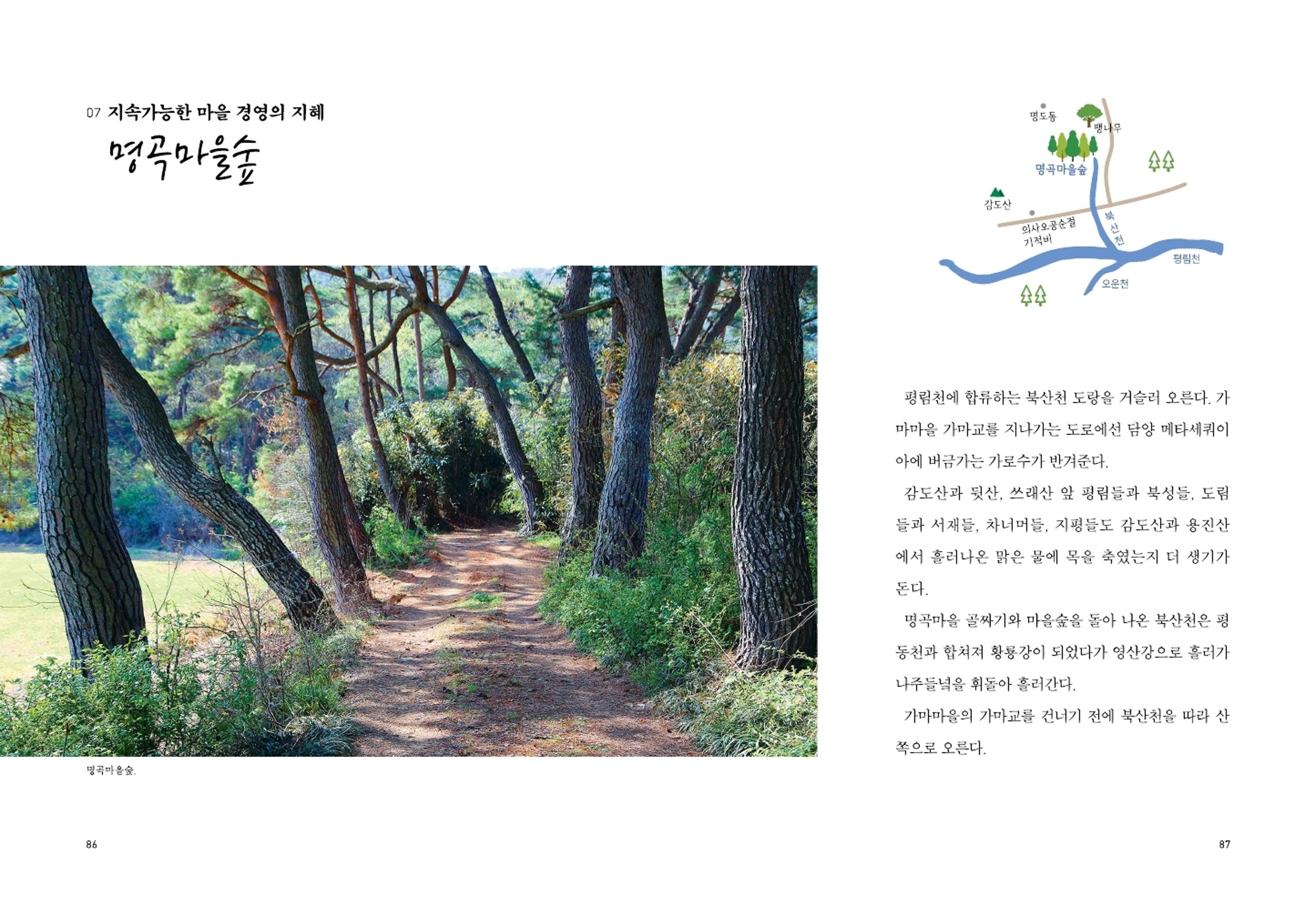 매거진