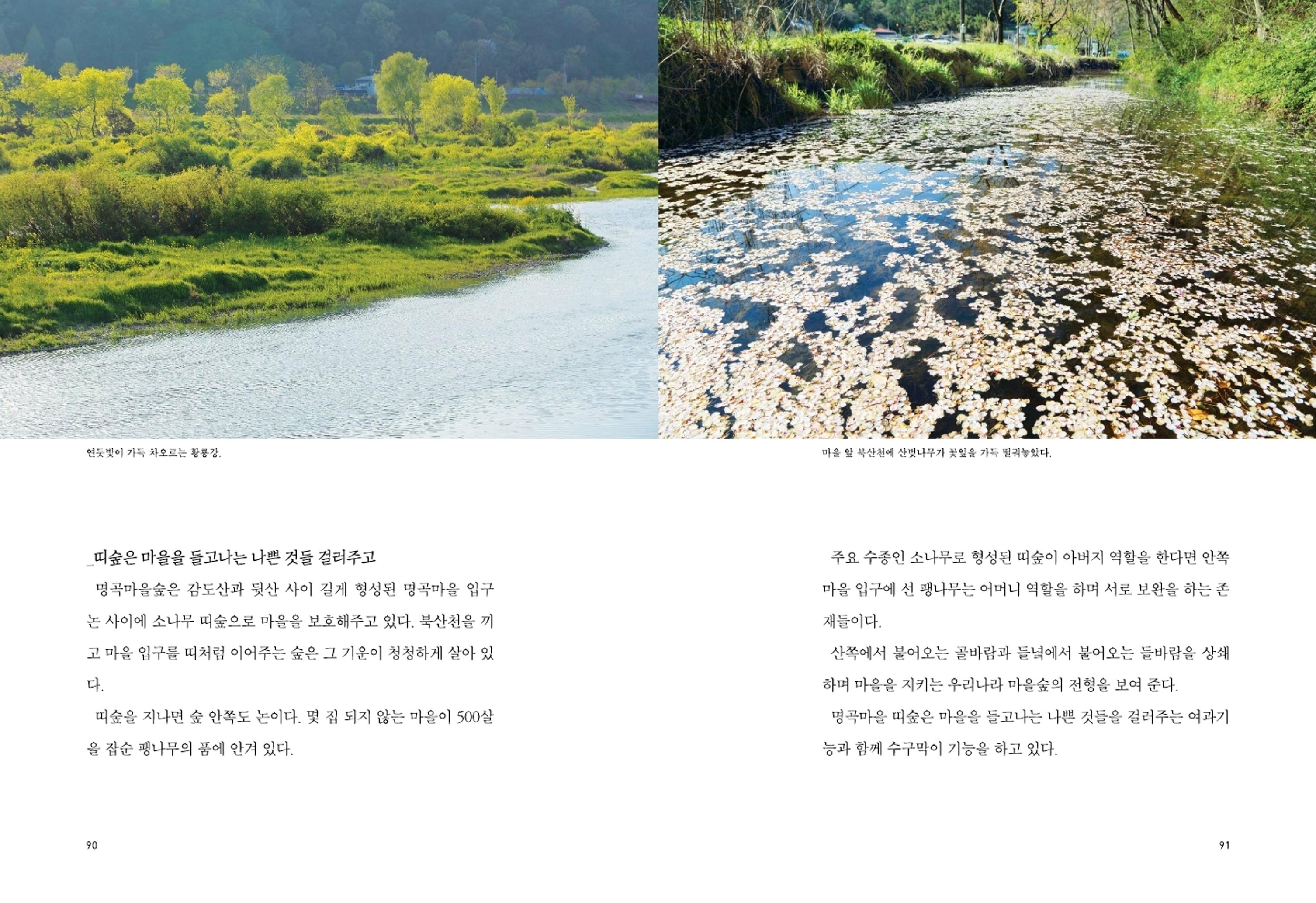 매거진