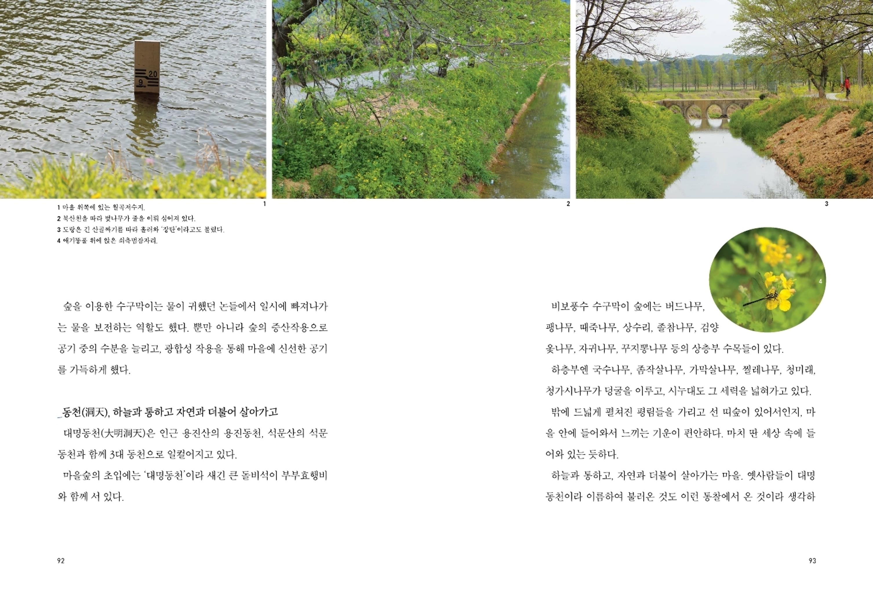 매거진