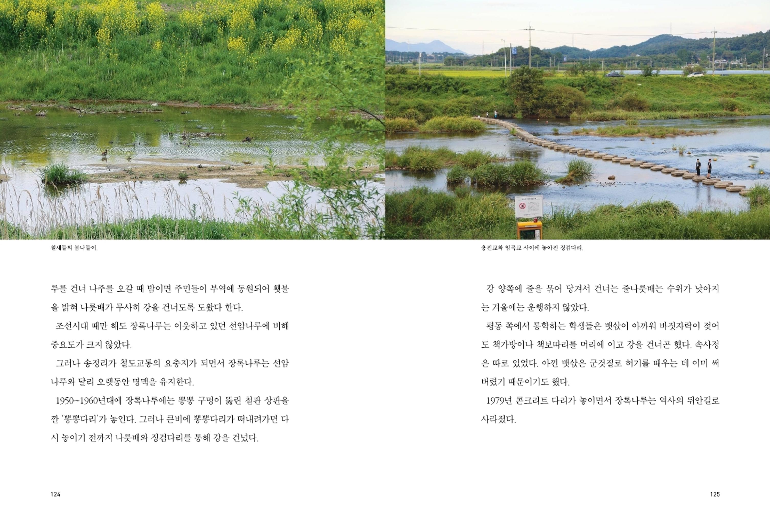 매거진