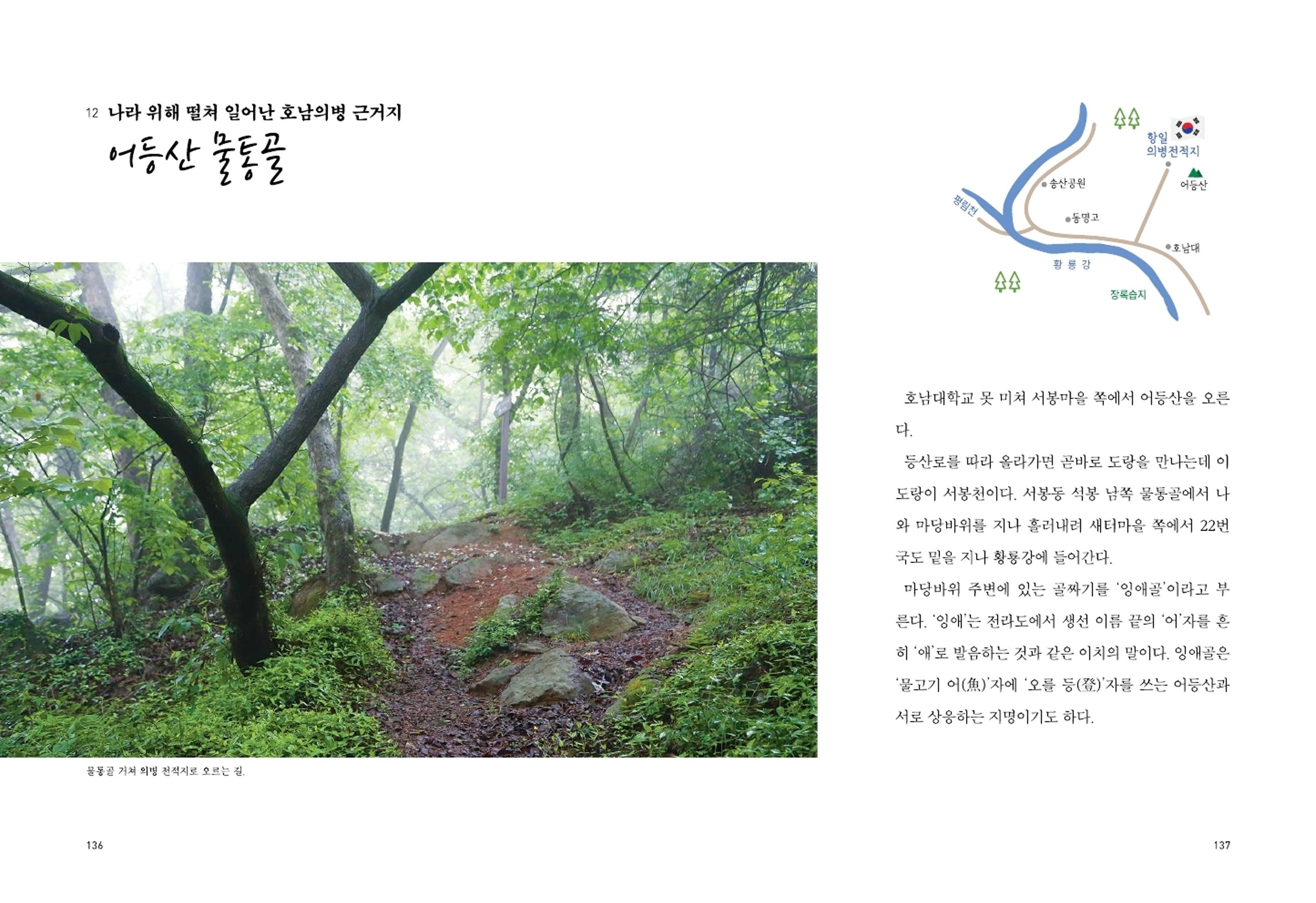 매거진