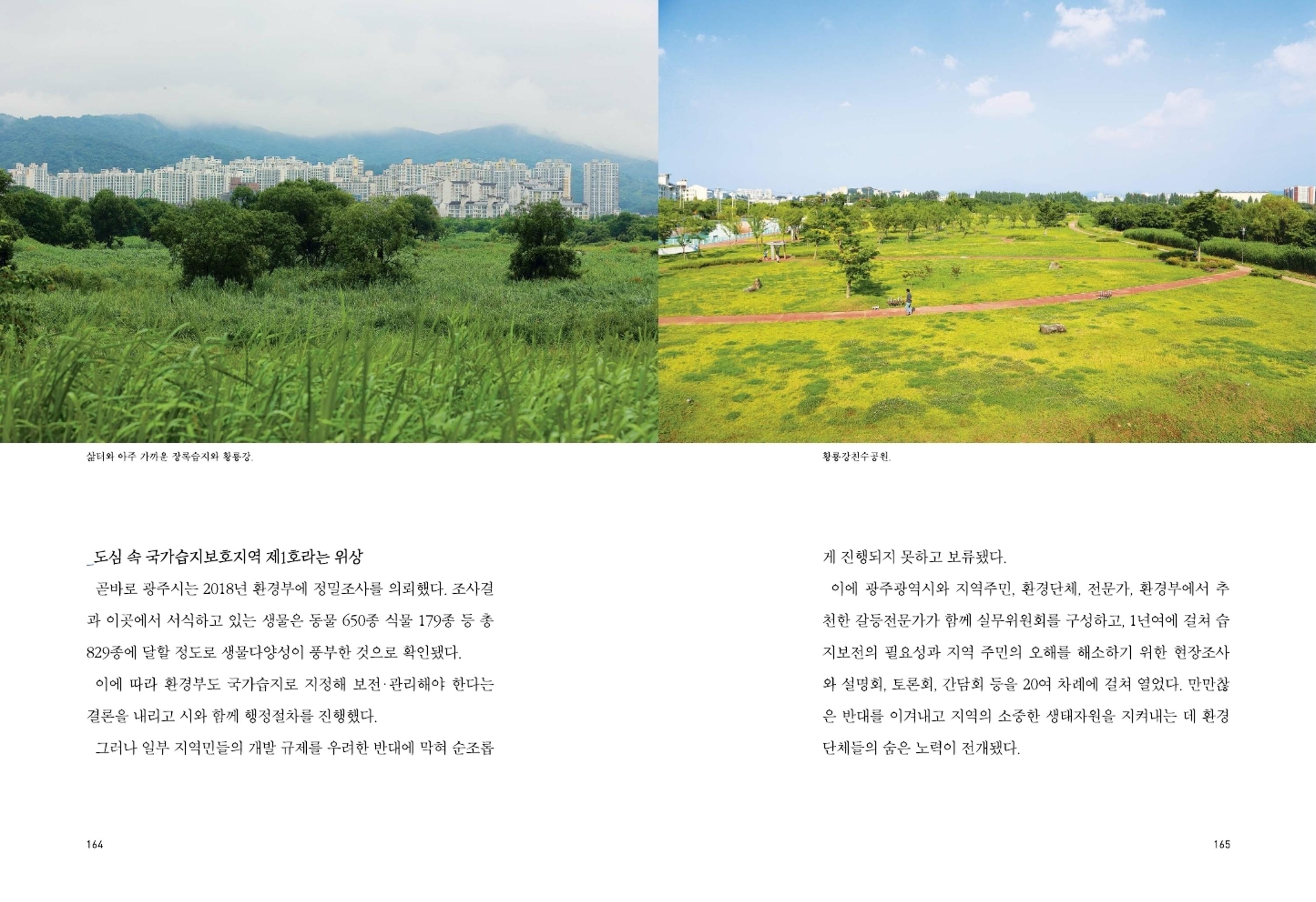 매거진