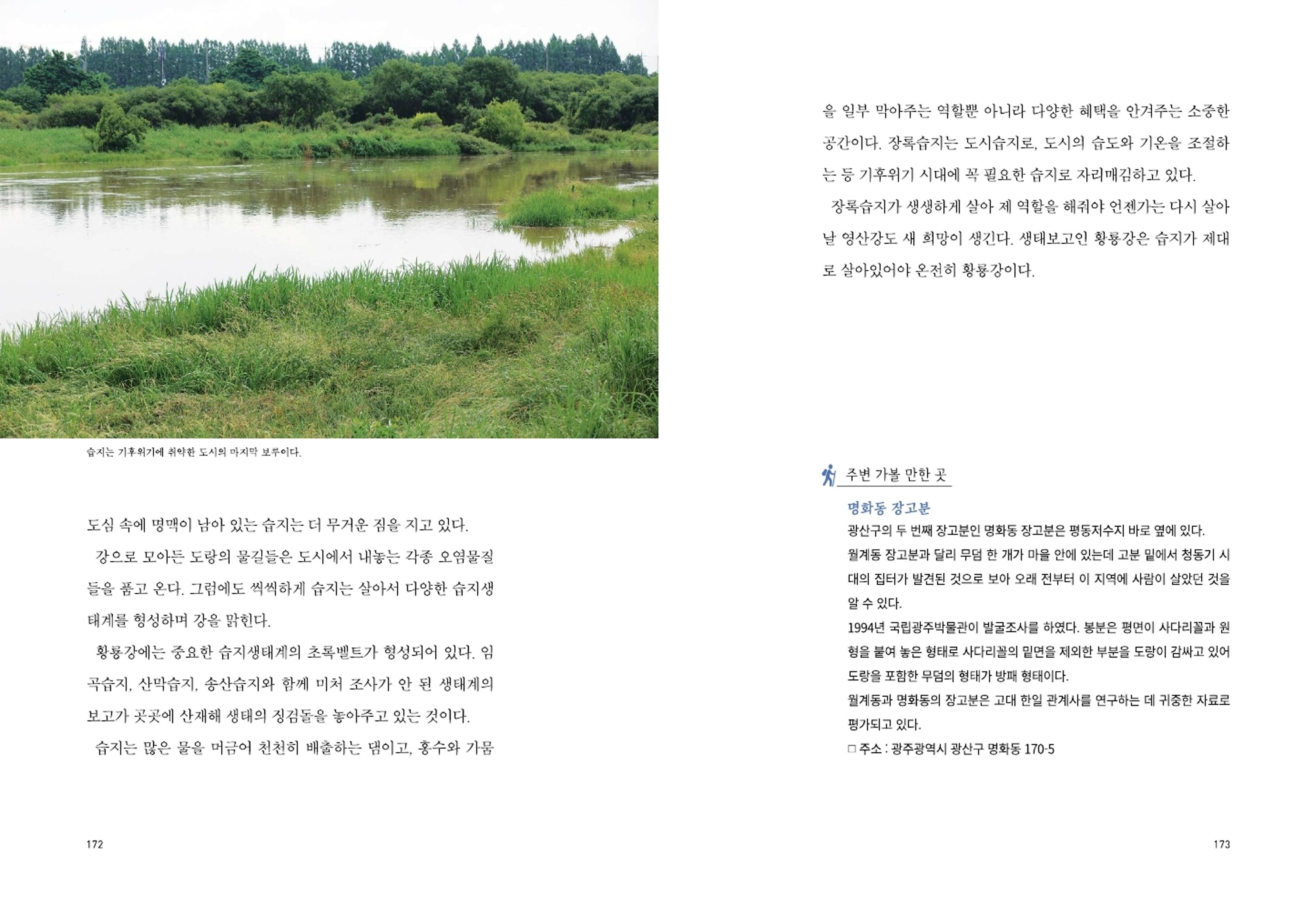 매거진